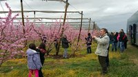 4a RUTA DE PATRIMONI "ALCARRÀS FLORIT"