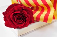 Diada de Sant Jordi - Aparador al carrer