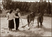 Obert el Centre d'Interpretació del Món Rural d'Alcarràs