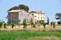 Revetlla de Santa Anna