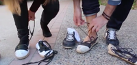Sardanes a la Fresca