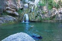 XXVI SORTIDA FAMILIAR - ALCOVER (SERRA DE PRADES)