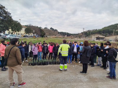 PLANTEM PEL PLANETA - ALFARRÀS