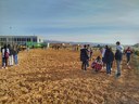 PLANTEM PEL PLANETA - ALMENAR