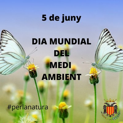 5 DE JUNY: DIA MUNDIAL DEL MEDI AMBIENT