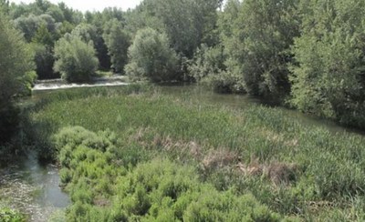 Acció Climàtica durà a terme a Almenar un projecte per sanejar i prevenir incendis a la ribera del Noguera Ribagorçana
