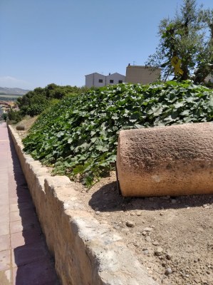 AGRAÏMENT VEÍ JOSEP SERRA