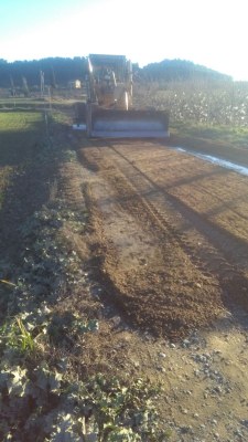 INICI DE L'ARRANJAMENT DE CAMINS