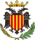 MANIFEST DELS ENS LOCALS DAVANT LA CRISI DEL CORONAVIRUS