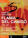 MISSATGE DE LA FLAMA DEL CANIGÓ 2017