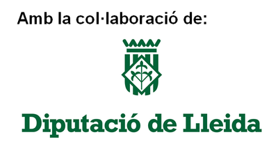 SUBVENCIÓ DEL PLA D'ARRENDAMENTS I SUBMINISTRAMENTS DE LA DIPUTACIÓ DE LLEIDA