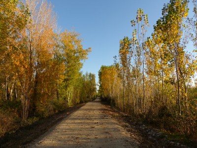 DESCOBREIX LES RUTES<br/><strong>CAMÍ DEL RIU I L'HORTA</strong>