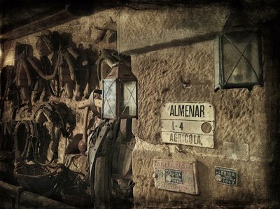 VISITA EL MUSEU<br/><strong>Casa Tonot</strong>