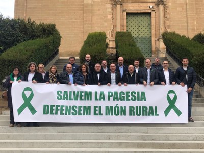 Alcaldes i organitzacions agràries demanen la implicació de tota la ciutadania per salvar la fruita dolça
