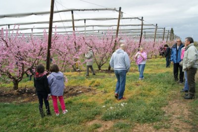 Alcarràs celebra aquest dissabte l’11a edició de l’Alcarràs Florit