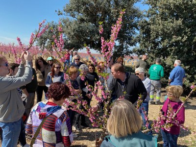 Alcarràs celebra l’11 edició de l’Alcarràs Florit