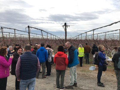 Alcarràs celebra la primera ruta de patrimoni 'Alcarràs Florit' de l'any