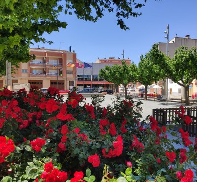 Alcarràs s’incorpora al llistat de Viles Florides