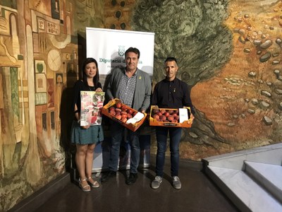 Els participants de l’‘Alcarràs en Fruit’ d’enguany podran endur-se a casa una caixa de fruita collida per ells mateixos