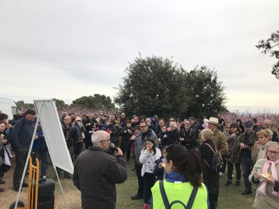 Èxit de visitants vinguts d'arreu a la segona ruta 'Alcarràs Florit'