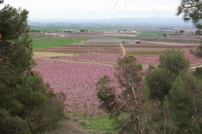L’Ajuntament d’Alcarràs habilita un autobús per facilitar l’assistència de la pagesia a la manifestació en defensa del món rural