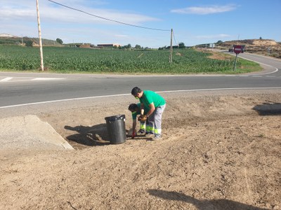 L’equip de neteja de vorals i cunetes del terme d’Alcarràs retira, pel seu reciclatge, 5 tones de plàstics, llaunes i paperam en 12 mesos