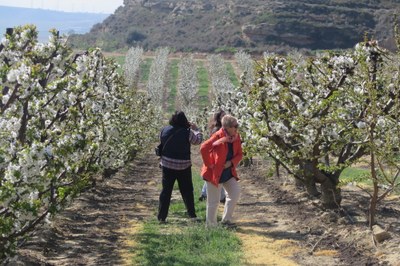 La ruta de patrimoni 'Alcarràs Florit' s'amplia a dos dies en la seva cinquena edició