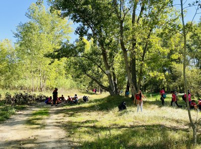 L'alumnat de primer d’ESO de l’Institut Nou d’Alcarràs recull la brossa al bosc de ribera del Segre