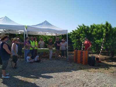 Nectarines de l’arbre directes al paladar en la 4a Ruta de Patrimoni Alcarràs en Fruit